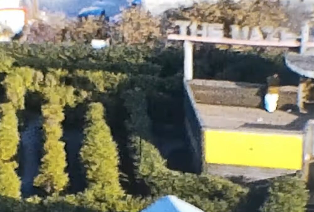 Maze