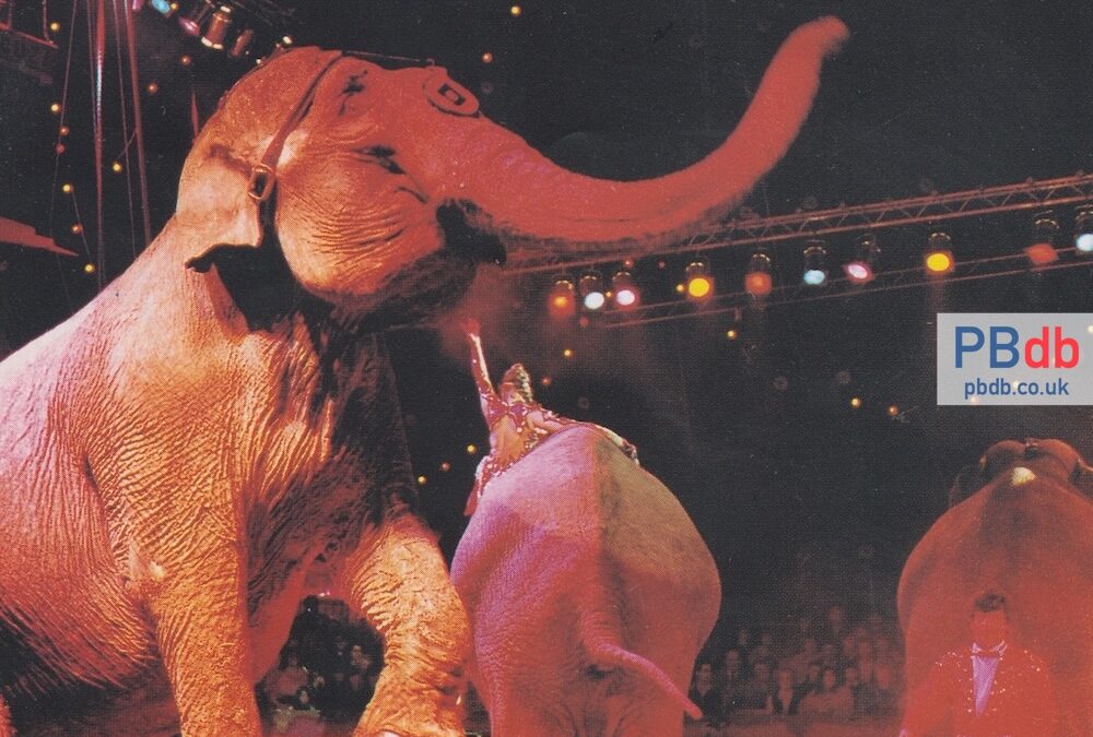 Peter Jay’s Superdome Circus (1992)