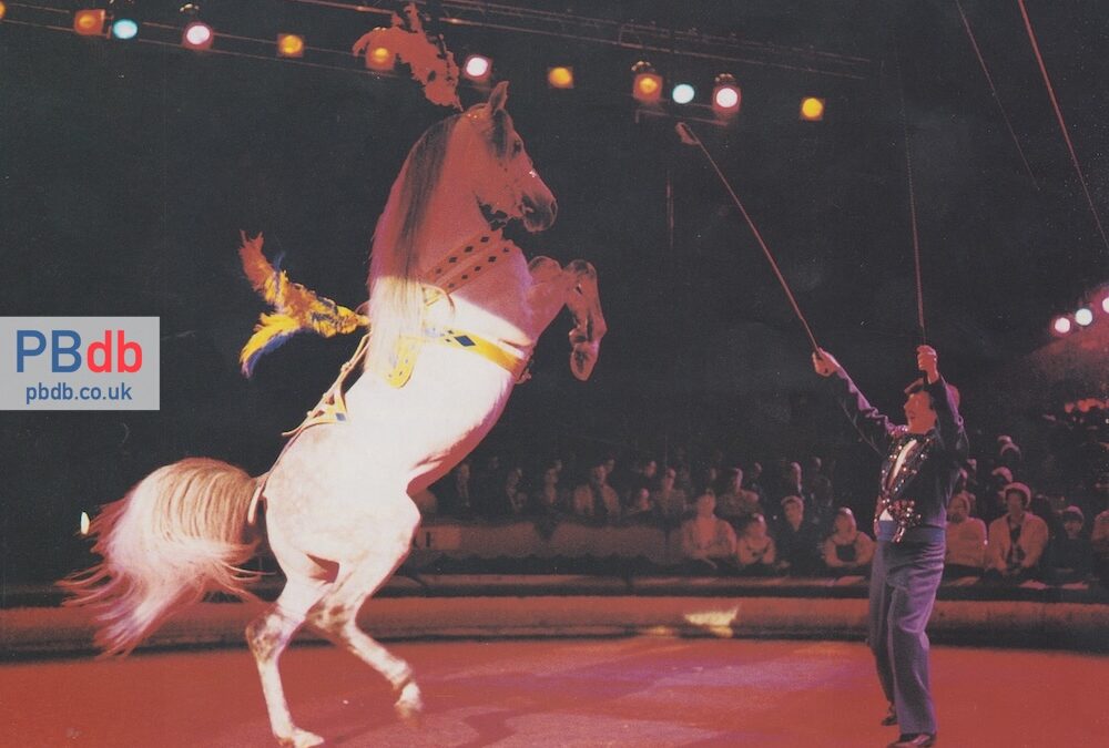 Peter Jay’s Superdome Circus (1995)